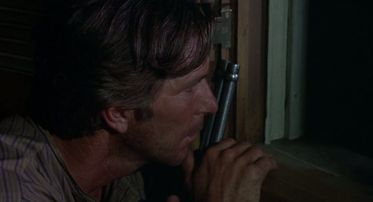 Hang 'Em High Screenshot
