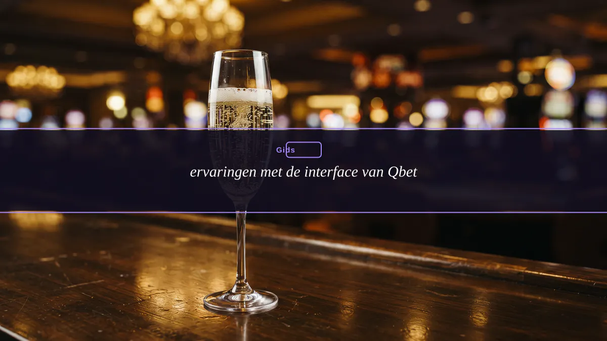 ervaringen met de interface van Qbet