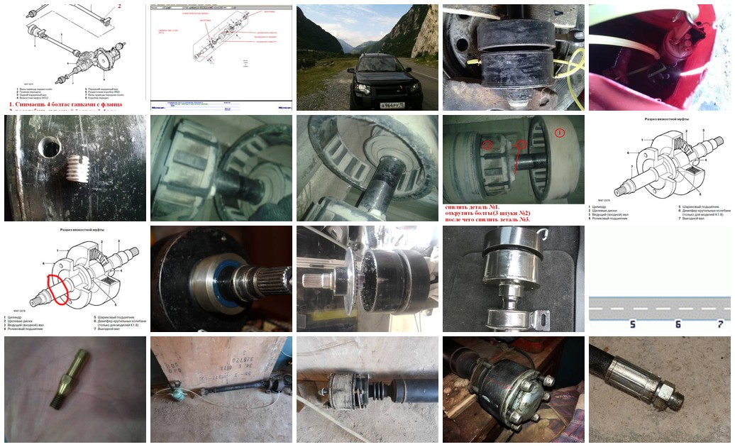 https://i.ibb.co/8LrM9Qc1/4923-collage.jpg