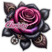 Christy LLLSav20TBT26 vi