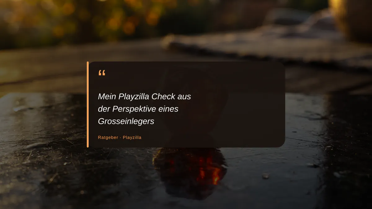 Mein Playzilla Check aus der Perspektive eines Grosseinlegers
