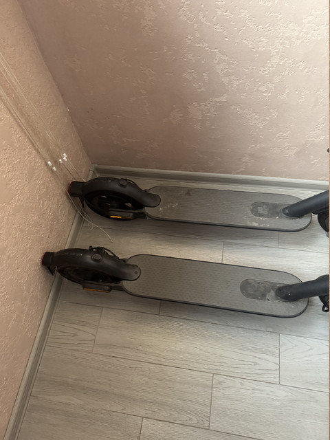 IMG 1490