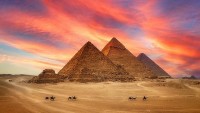 Ảnh minh họa 5