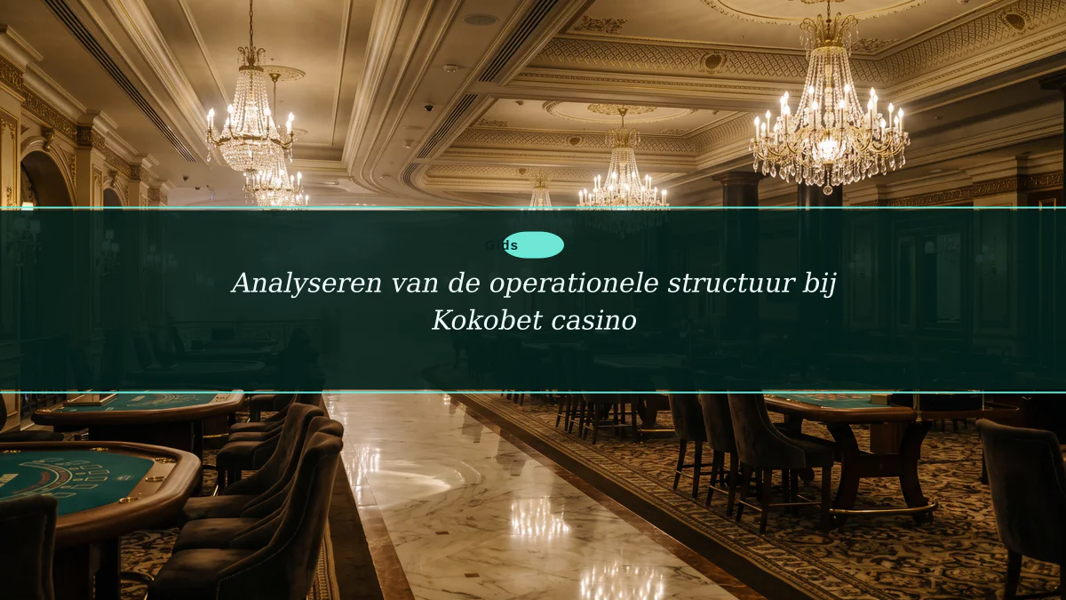 Analyseren van de operationele structuur bij Kokobet casino