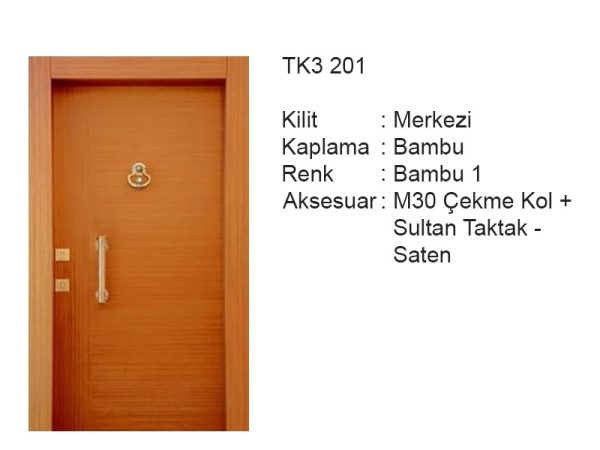 Steel door TK3 201