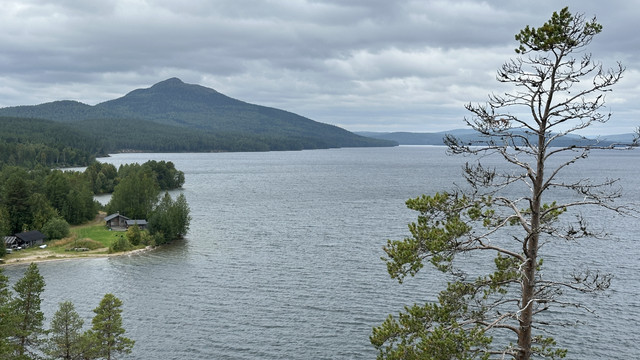 IMG 5754.jpg