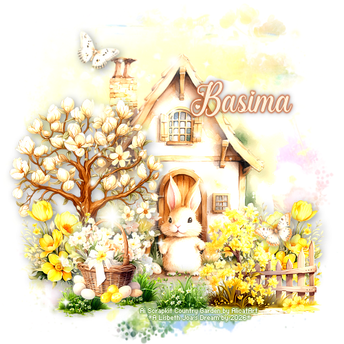 Basima 94ºBanner.png
