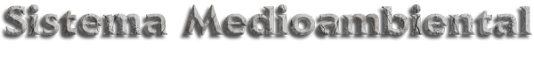 SISTEMA-MEDIOAMBIENTAL.png