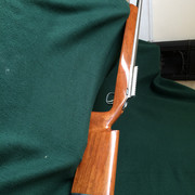 IMG-5250-2