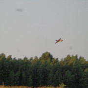 DSC01099