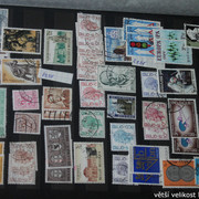 IMG-3444