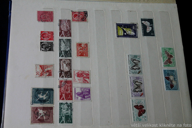 IMG-6966.jpg