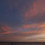 IMG-3665
