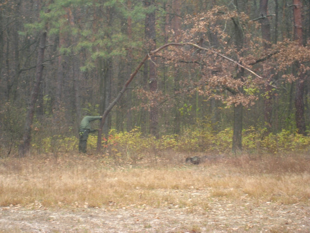 19992736.jpg