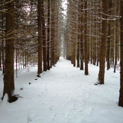 DSC00360