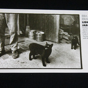 IMG-3207