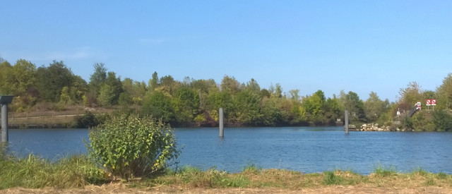 WP-20190914-002-small.jpg