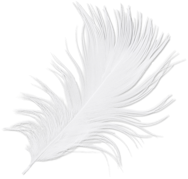plume1.png