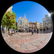 DSCF7906
