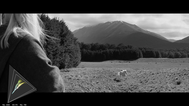 gamut-LOTR20093