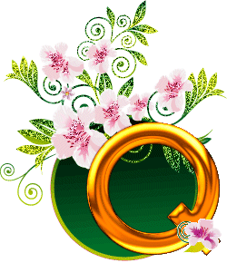 q.gif