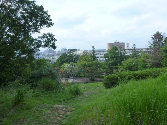 P1340873.jpg