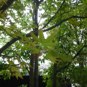 P1230885
