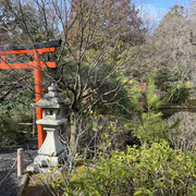 IMG-3021