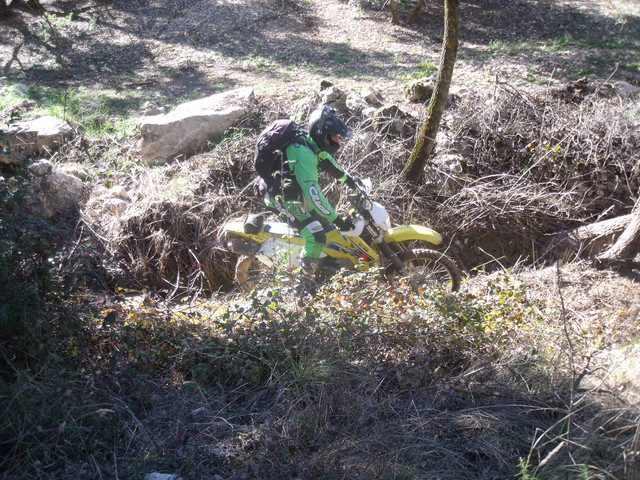 DSCF9016.jpg