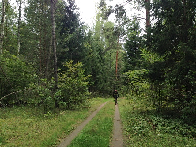 IMG-3995.jpg