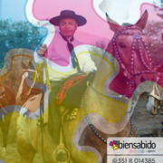 DSC4864