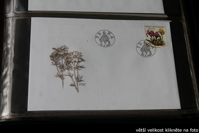 IMG-2556