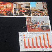 IMG-4497
