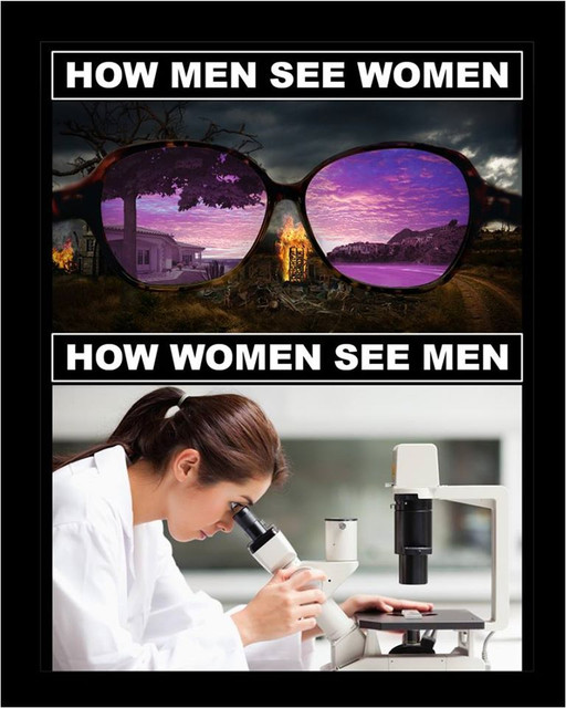 rrrr