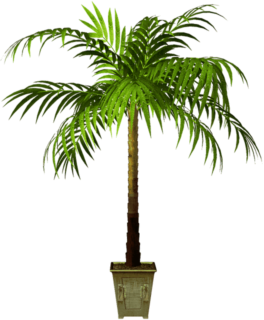 AGz5039r-Ca6-R-1.png