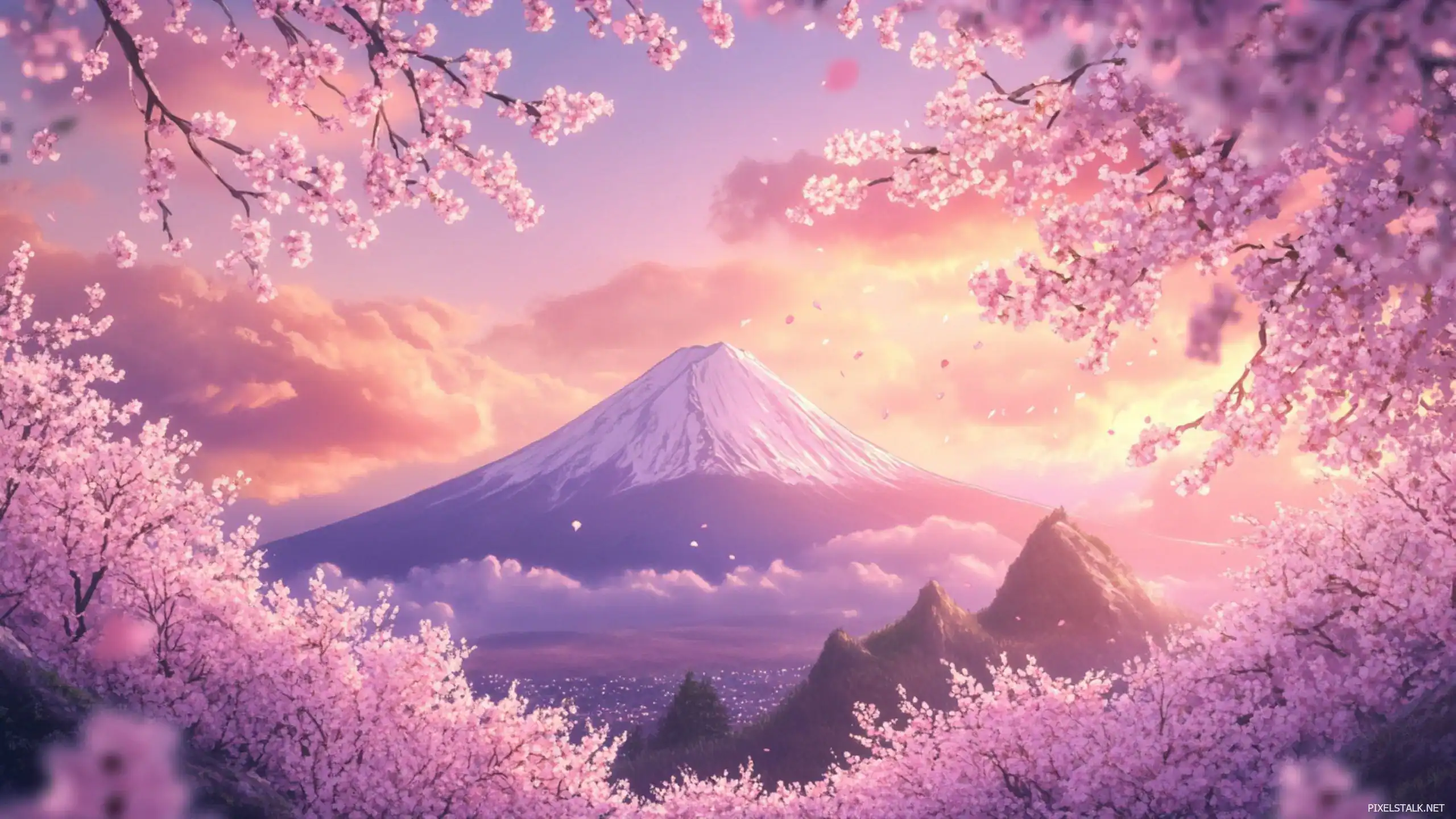 Fuji Design