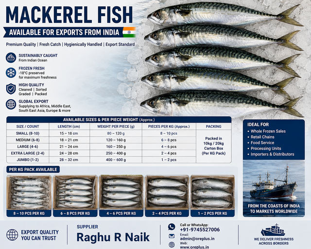 Mackerel Fish For Exports From India.png