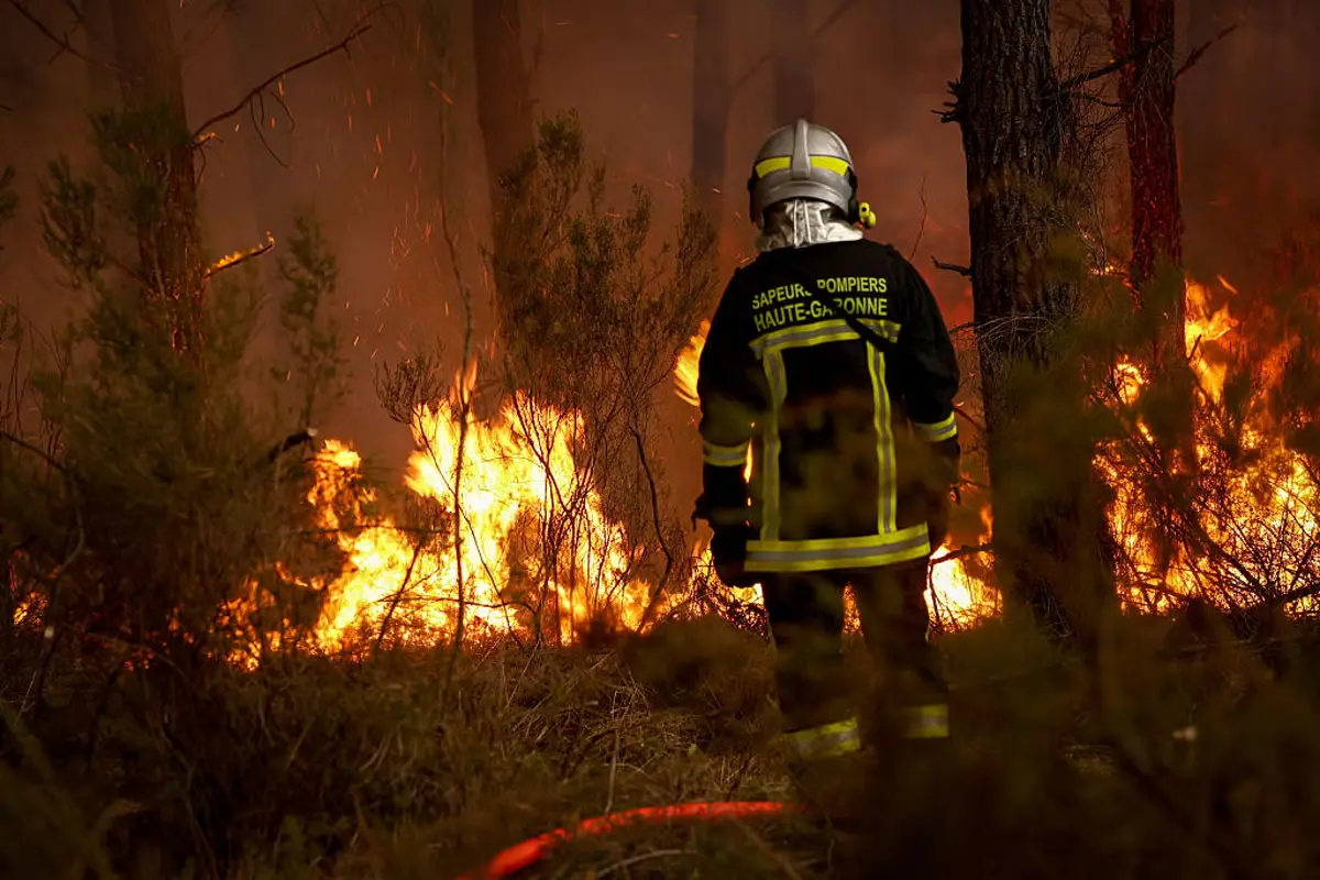 Wildfires Threaten Bordeaux Vineyards Amidst Severe Drought