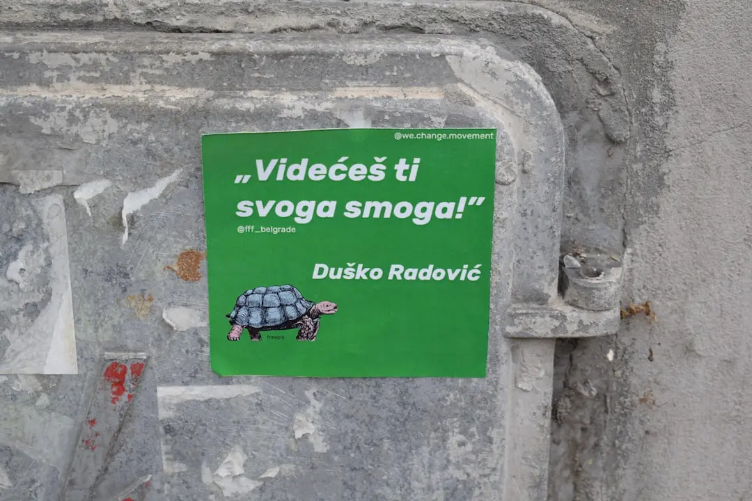 Trebuie să rescrieți în engleză un articol de știri cu 350-600 de cuvinte