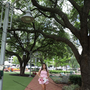 IMG 5142