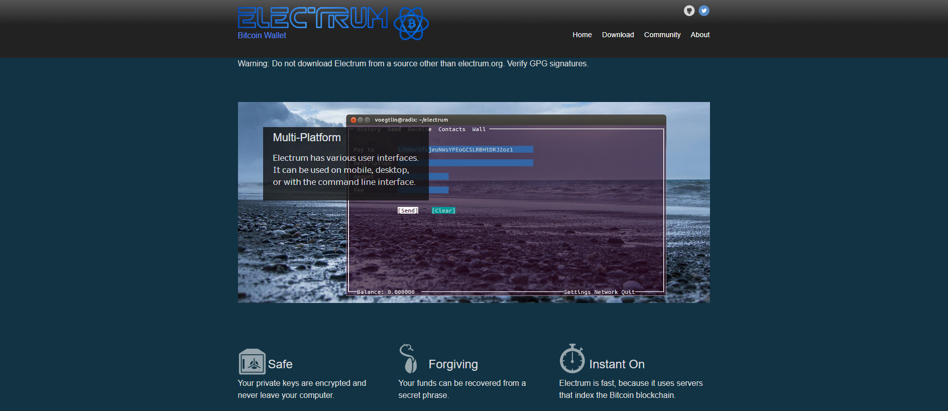 Forensic screenshot of electrume.at showing the phishing page layout