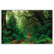 701703-Natureza