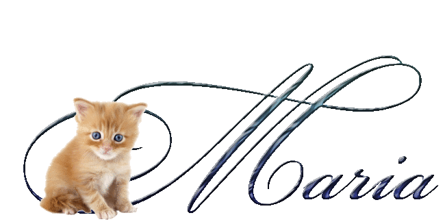 maria-kitty.gif