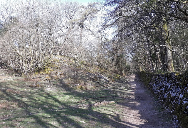 084a-The-Way-North
