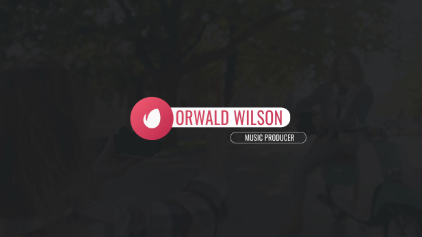 Professional Logo Lower Thirds Set Professional Logo Lower Thirds Set