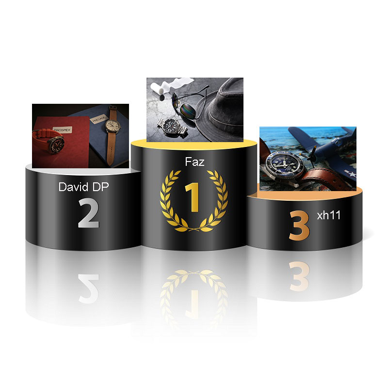 33ième Concours Seiko: "Les séries TV" - Page 11 Podium