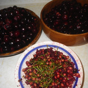 IMGP0140