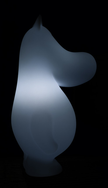 L1010221