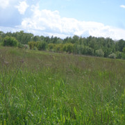 DSC00643