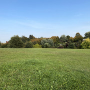 IMG-0606